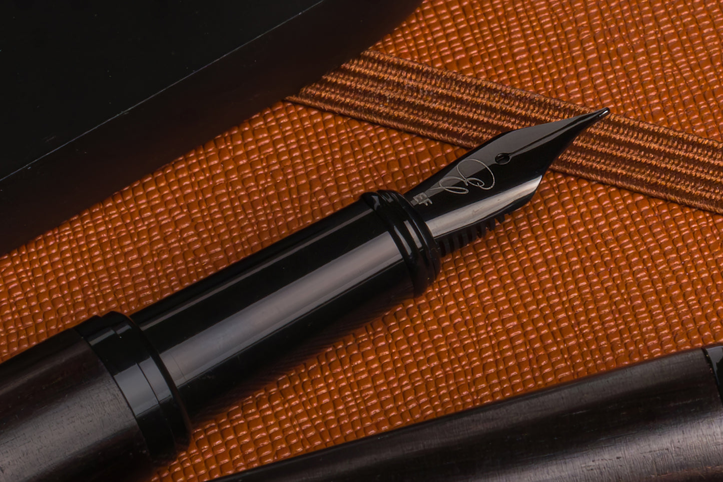 Ebon Elegance Blackwood Fountain Pen